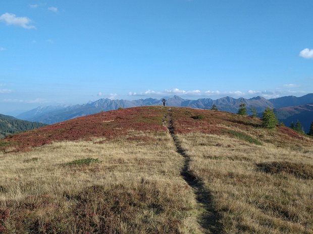 Dorfberg 2115 m Preiselbeerernte 30.09.23