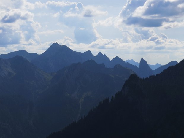 Hennenkopf 1769 m Ammergauer Alpen von Norden über Kuhalm - Hengstwald - Kleckelalpe - Wegsuche 11.08.23