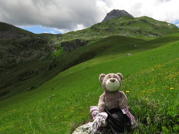 Stuckenwiesen - Reslerknollen 2306 m 28.06.23