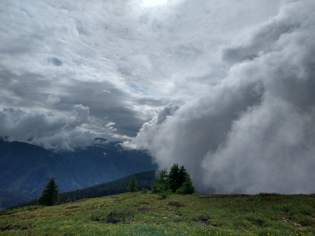 Dorfberg 2115 m in Wolken 26.06.24