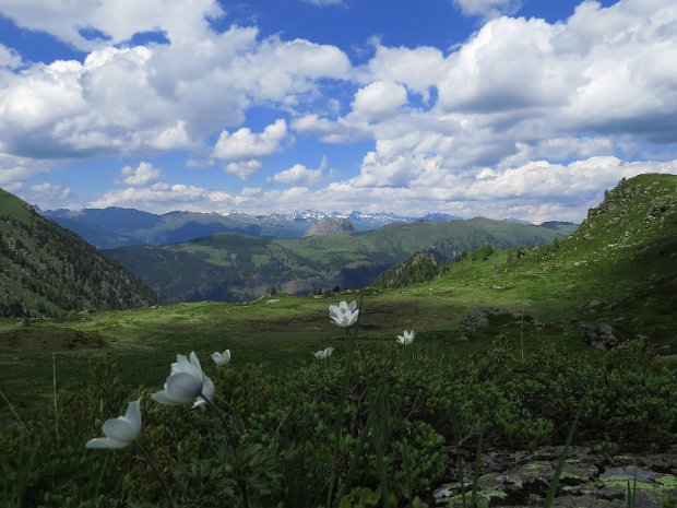 Reslerknollen 2305 m vom Schöntal aus 28.06.24