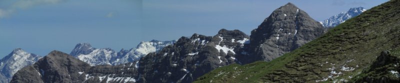 phochblassewettersteinii29052011u.jpg