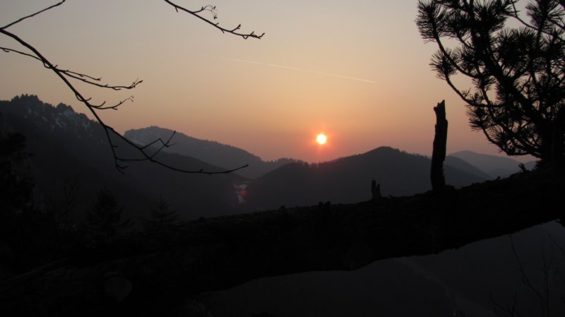 img_2212.jpg