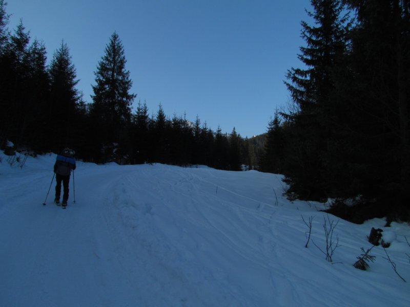 img_0250.jpg