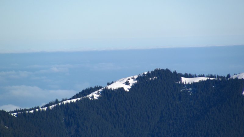 img_0314.jpg