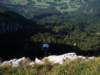 dsc01115_small.jpg