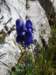 dsc01122_small.jpg