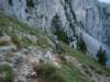dsc01128_small.jpg