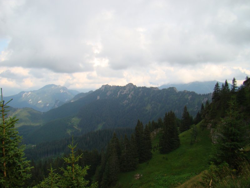 dsc00712.jpg
