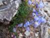 dsc00782_small.jpg