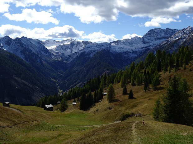 Dorfbergwiesen 06.10.25